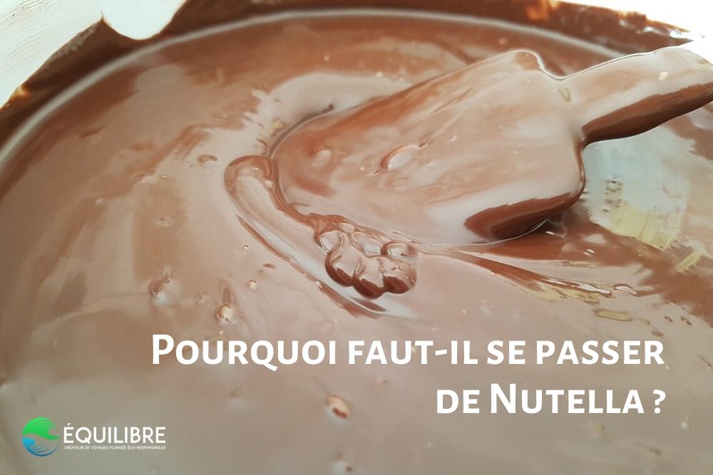 Pourquoi faut-il se passer de Nutella ?