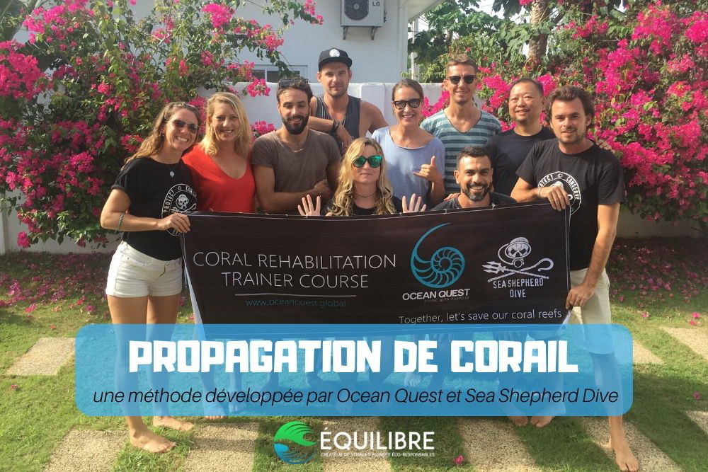 Propagation du corail